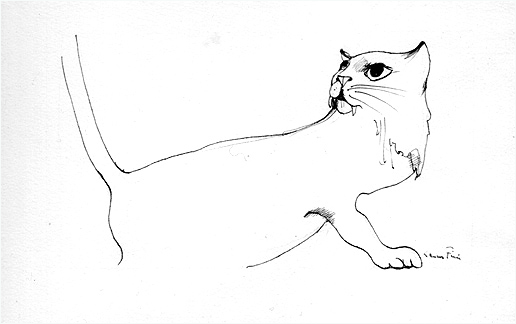 Leonor Fini Cat Drawing
